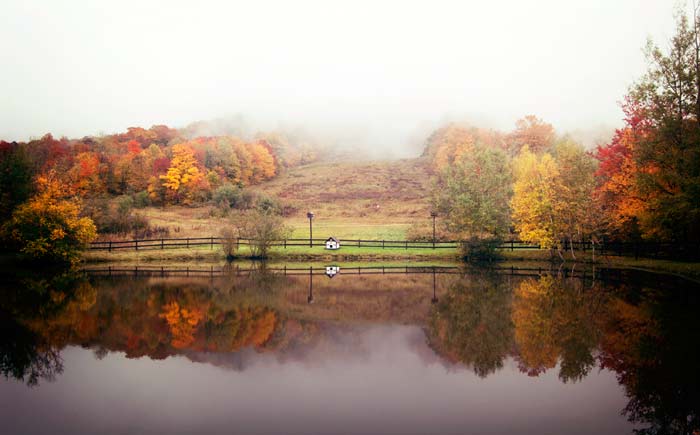 Fog-shrouded pond